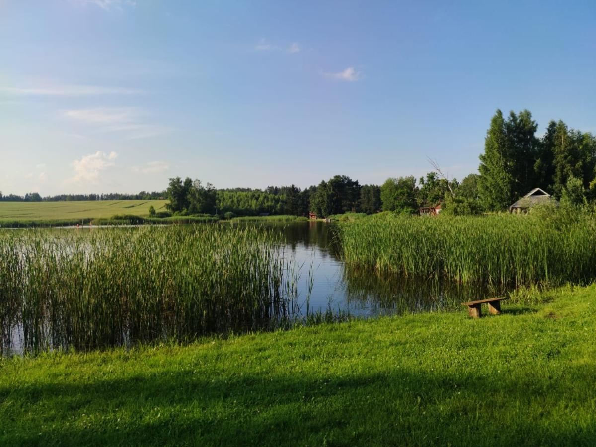 Miego Klinika 2 -Poilsiui Be Triuksmo Visa Para Kelme Esterno foto